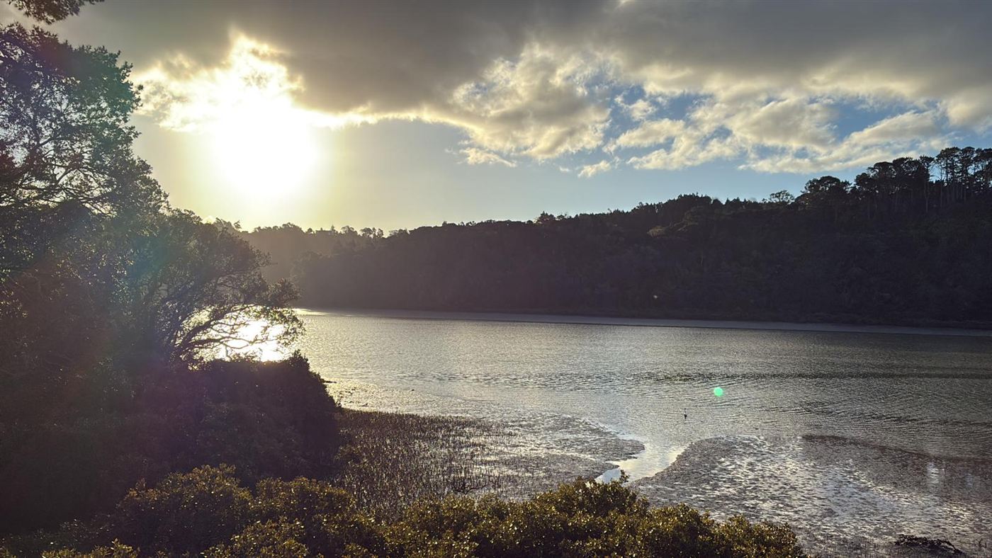 Evening light over the upper harbour estuary