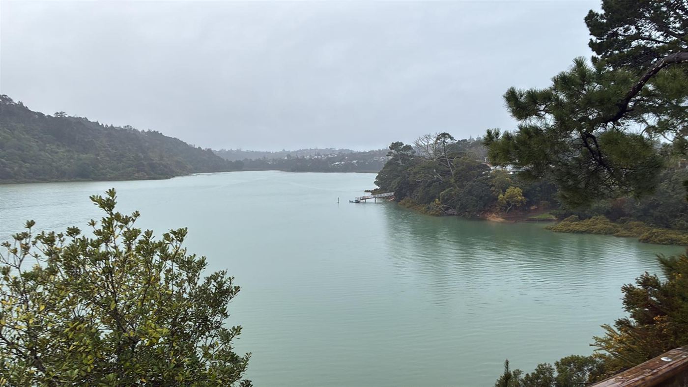A misty morning on the estuary